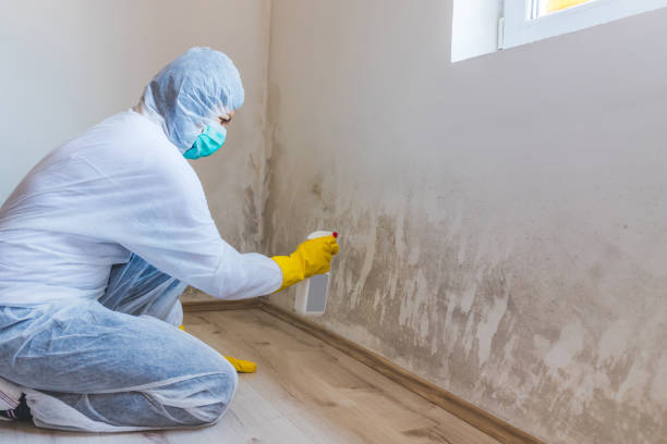 Commercial Mold Remediation assessment for commercial property in Pineville